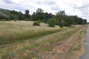 južná časť polygónu