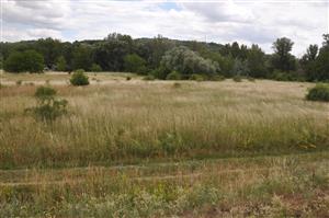 južná časť polygónu