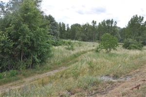 južný resp. JZ okraj