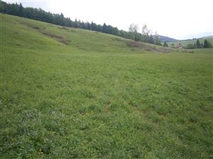 Južná časť lokality s uloženými kopami konárov