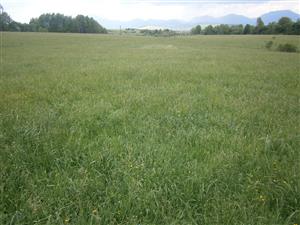 Severná časť lokality