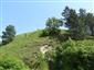 poniklec veľkokvetý (18.5.2016)