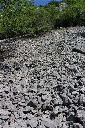 Záber na monitorovaný biotop.