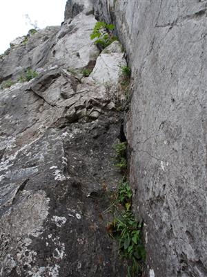 detail skalnej štrbiny