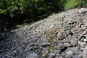 Záber na monitorovaný biotop.