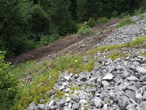 spodný okraj po menežmentovom zásahu