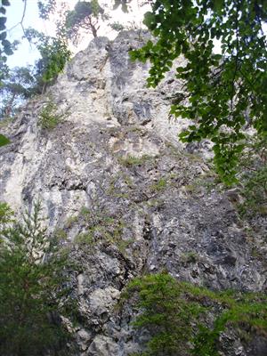 pohľad na lokalitu