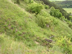 celkovy pohlad na lokalitu