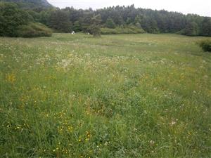 Pohľad na časť lokality pri kaplnke