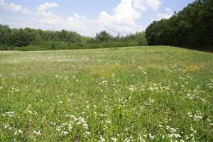 pohlad na mapovaný biotop