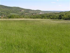 Pohľad na TML, celkový