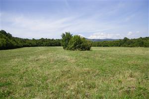 Celkový pohľad na lokalitu