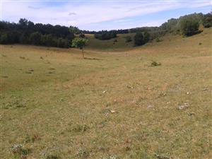 Pri modrej značke