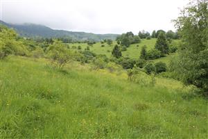 celkový pohľad na TML