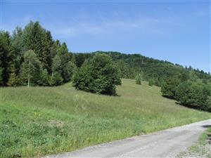 TML_6520_066, 2014_06_28, č. 01