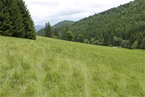 celkový pohľad na TML