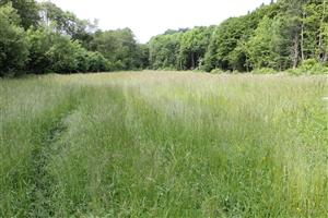 celkový pohľad na TML