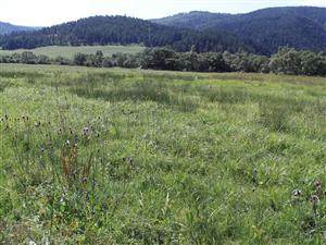 TML_7230_100, 2014_06_20, č. 01