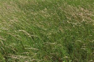 Záber na monitorovanú lokalitu.