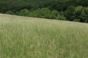Záber na monitorovanú lokalitu.