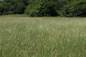 Záber na monitorovanú lokalitu.