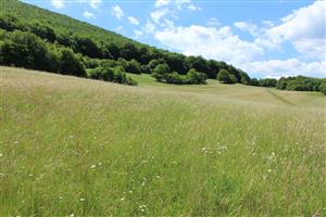 Záber na monitorovanú lokalitu.