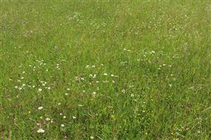 Záber na monitorovanú lokalitu.