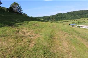 Záber na monitorovanú lokalitu.