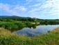 kunka žltobruchá (20.6.2017)