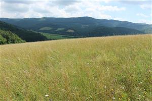 Záber na monitorovanú lokalitu.