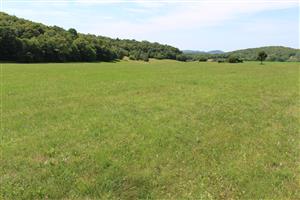 Záber na monitorovanú lokalitu.