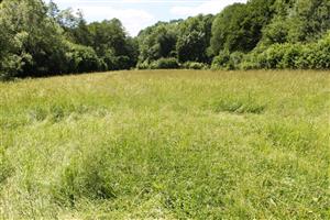 celkový pohľad na TML