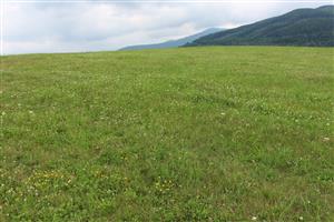 Záber na monitorovanú lokalitu.