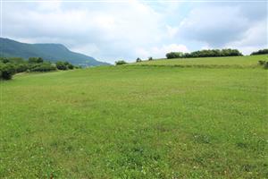 Záber na monitorovanú lokalitu.