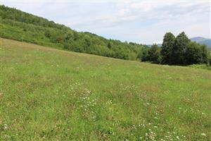 Záber na monitorovanú lokalitu.