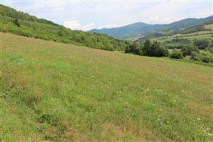 Záber na monitorovanú lokalitu.