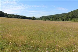 Záber na monitorovanú lokalitu.