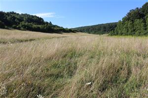 Záber na monitorovanú lokalitu.