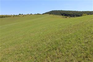 Záber na monitorovanú lokalitu.