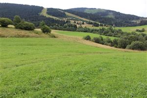 Záber na monitorovanú lokalitu.