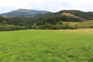 Záber na monitorovanú lokalitu.