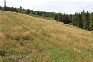 Záber na monitorovanú lokalitu.