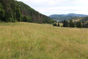 Záber na monitorovanú lokalitu.