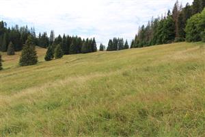 Záber na monitorovanú lokalitu.