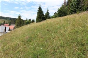 Záber na monitorovanú lokalitu.