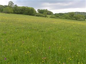 Pohľad na plochu TML, celkový