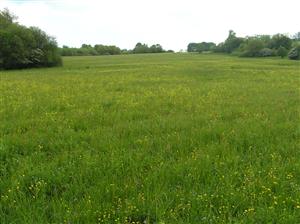 Pohľad na plochu TML