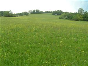 Pohľad na plochu TML