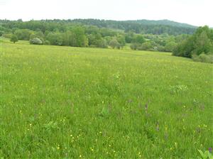 Pohľad na plochu TML