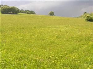 Pohľad na plochu TML